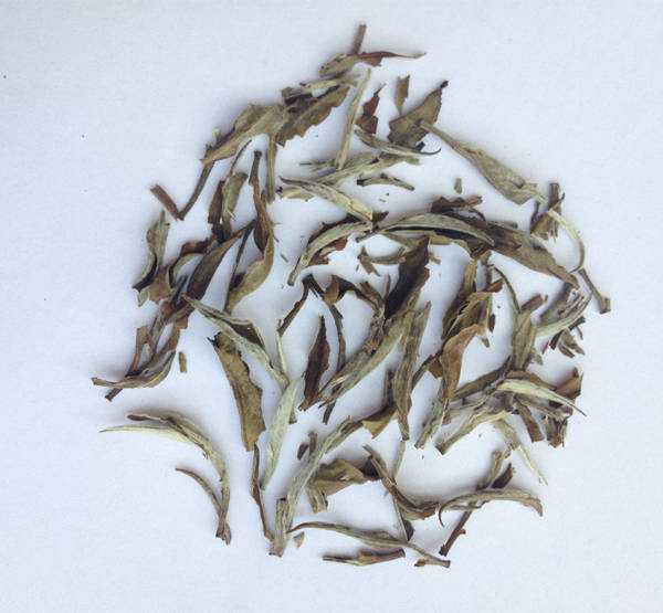 Darjeeling-White-Tea